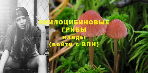 винт Абаза