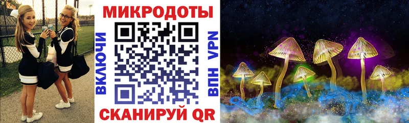 Псилоцибиновые грибы ЛСД  OMG как зайти  Гаджиево 